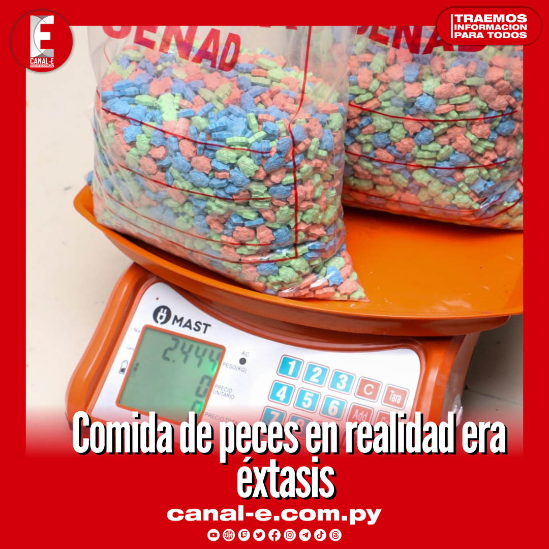 Texto del párrafo - 2023-11-08T122819.429
