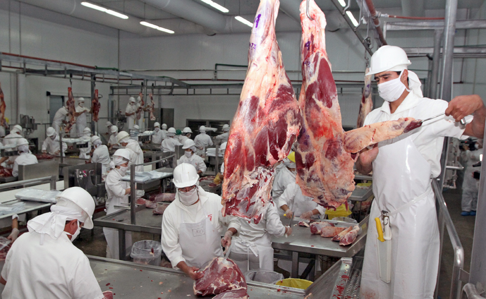 FRIGORIFICO-CARNE-EXPOR-AGRICULTURA-VACUNO-CORTES-