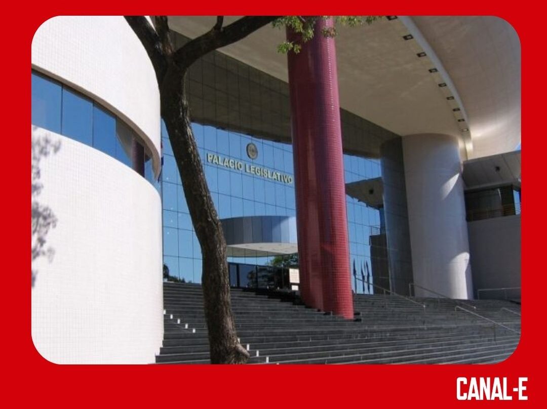 PLANTILLA CNN - 2024-07-31T105227.162