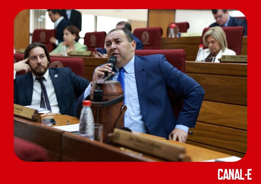 PLANTILLA CNN - 2024-08-02T121101.888
